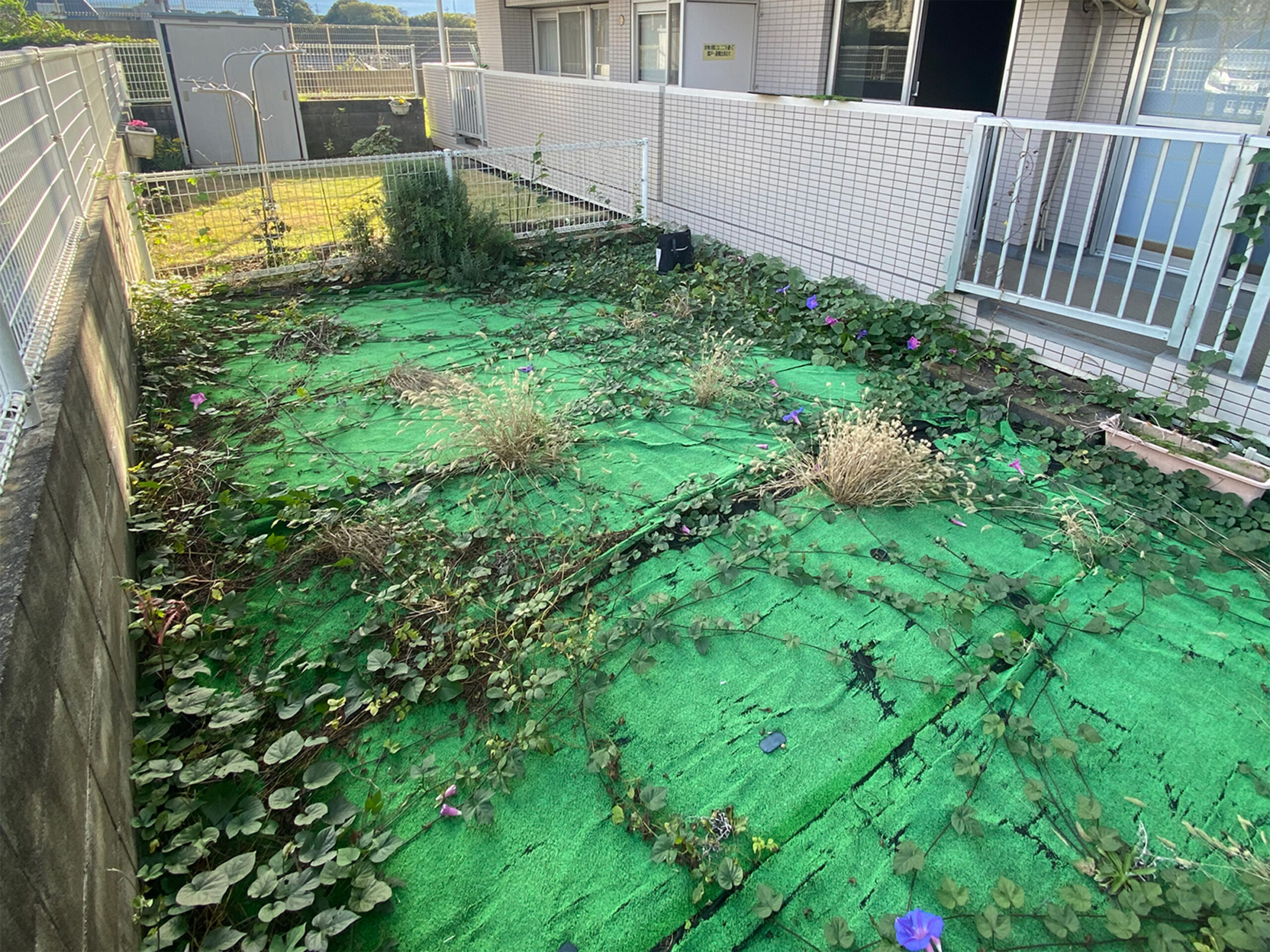 東京都 庭 人工芝施工 Before